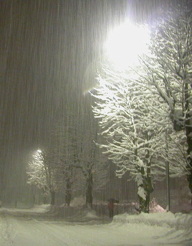 Winter in Bohinj, Slovenia - 05 - Snow Falling.jpg
